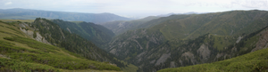 media/gallery/Djungaria2011/thumbnails/f002.png