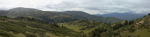 media/gallery/Djungaria2011/thumbnails/f007.png
