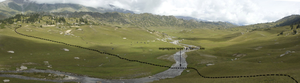 media/gallery/Djungaria2011/thumbnails/f015.png