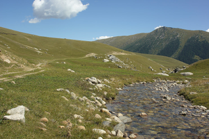 media/gallery/Djungaria2011/thumbnails/f027.png