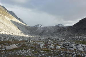 media/gallery/Djungaria2011/thumbnails/f062.png