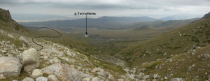 media/gallery/Djungaria2011/thumbnails/f103.png