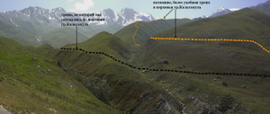 media/gallery/Takali2010/thumbnails/f59.png