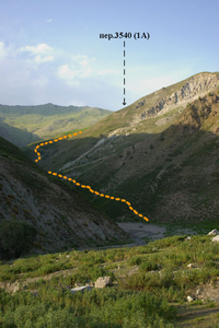 media/gallery/Takali2010/thumbnails/f7.png